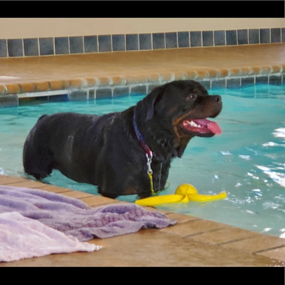 Meet your Posher, Anne - Picture 7 of 15